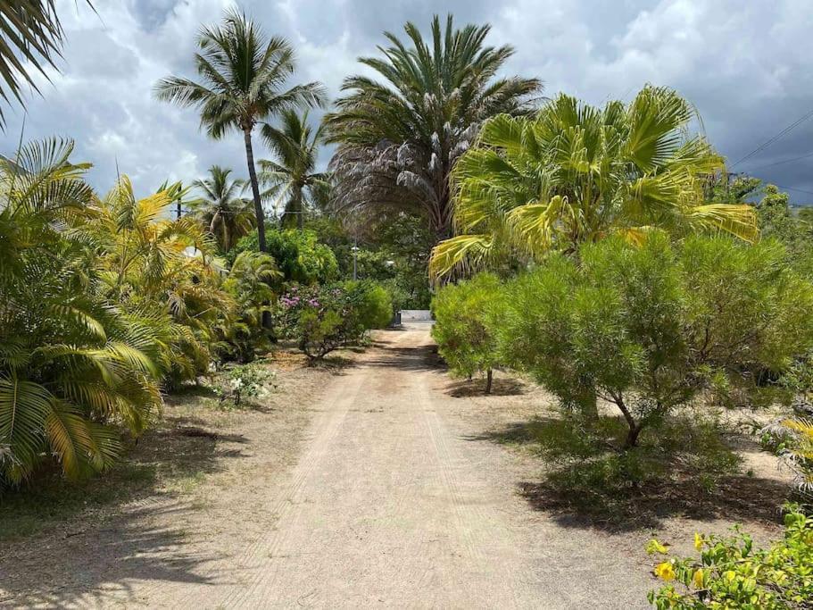 Villa Coco Des Sables Acces Direct Au Lagon Ла Салин ла Ба Екстериор снимка